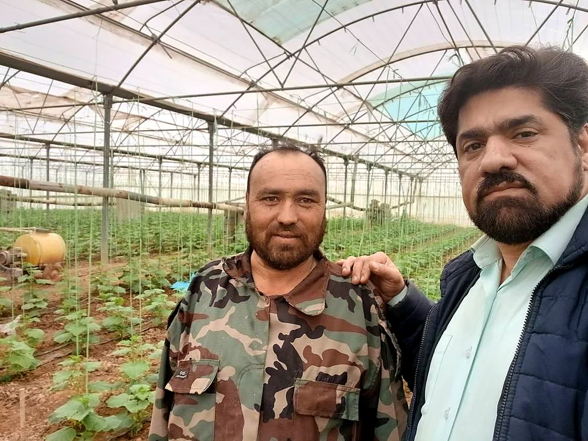 Photo from a greenhouse site visit